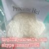 Procaine Hcl